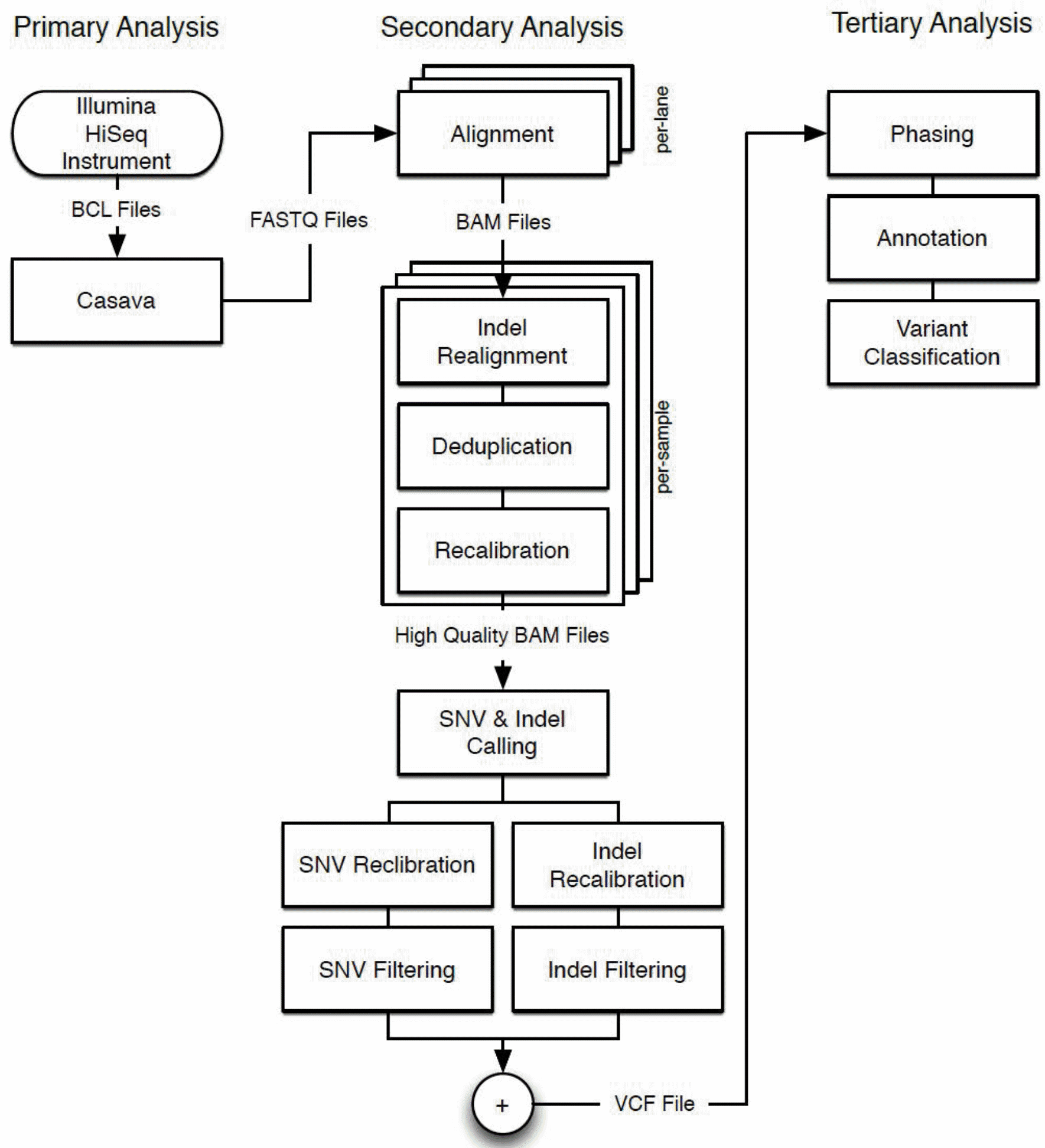 Graphic: DNA workflow [22]