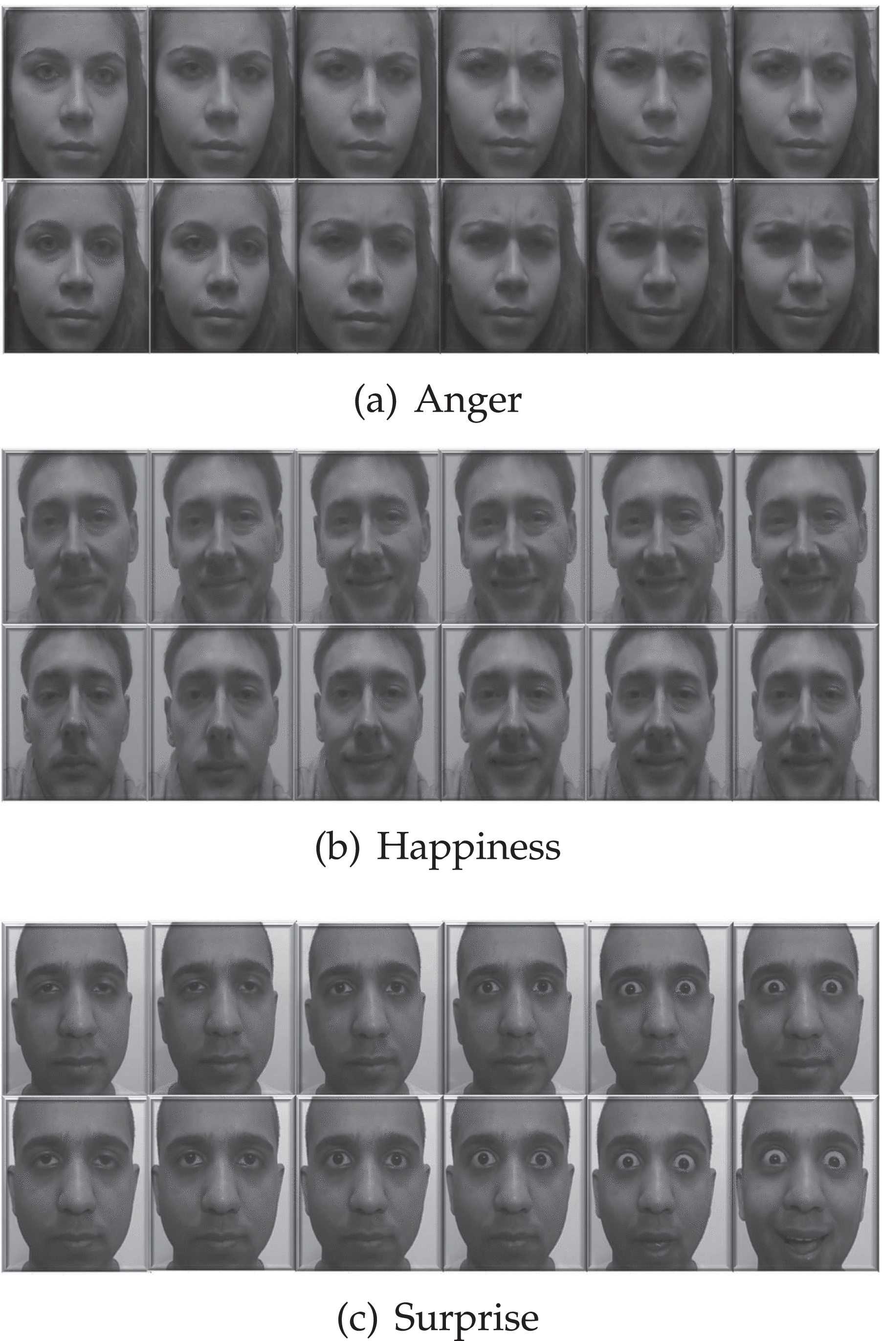 Automatic Recognition of Facial Displays of Unfelt Emotions automatic-recognition-of-facial-displays-of-unfelt-emotions