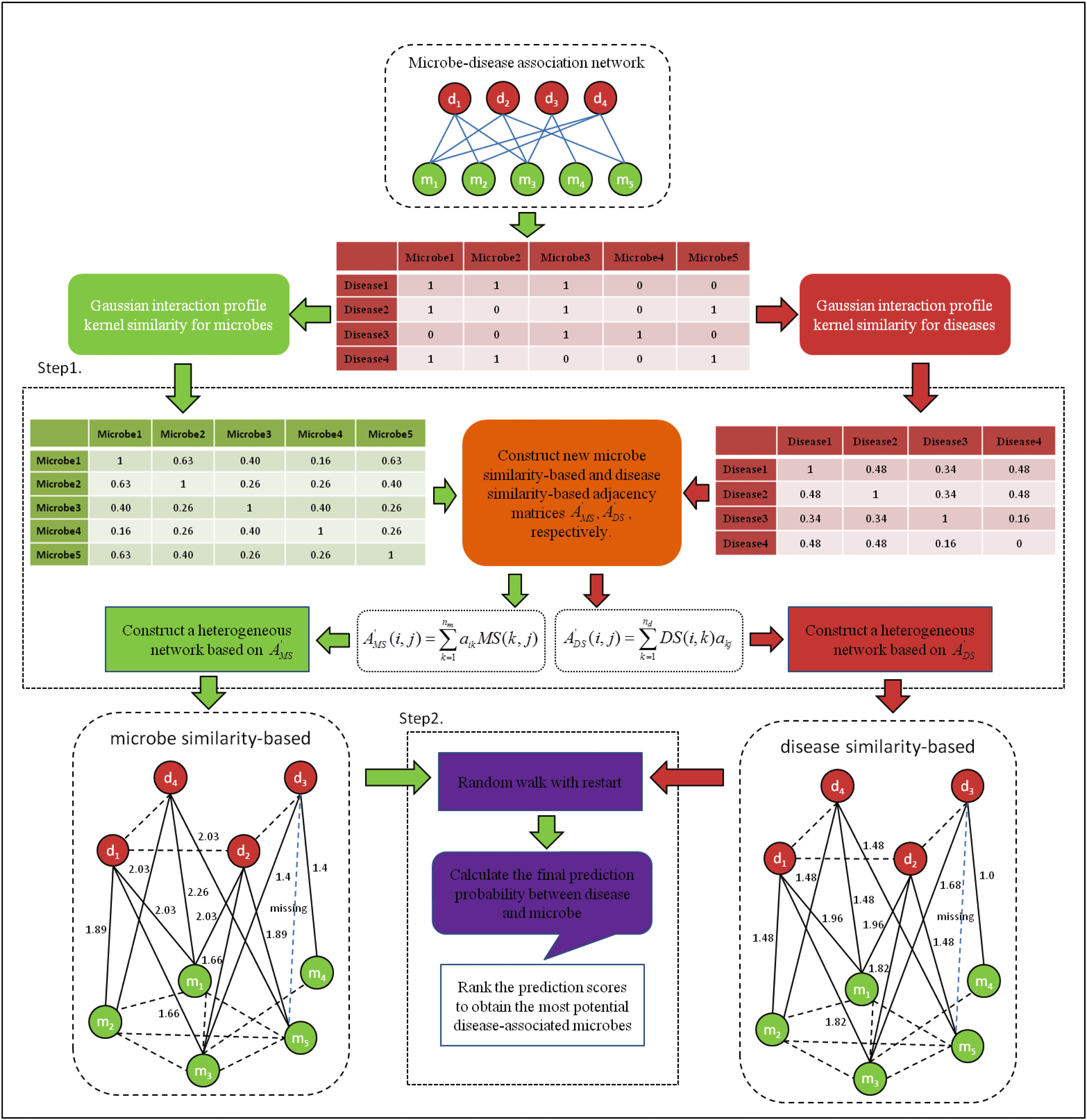 最安 NTSHMDA: Prediction Association Microbe-Disease Human of ビジネス・経済