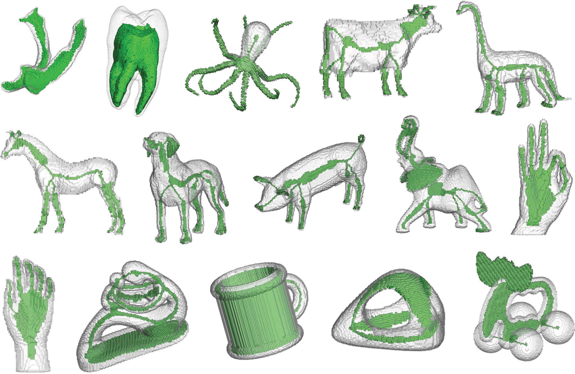 ふじよし。様 小さい Alocasia azulanii アロカシア アズラニー