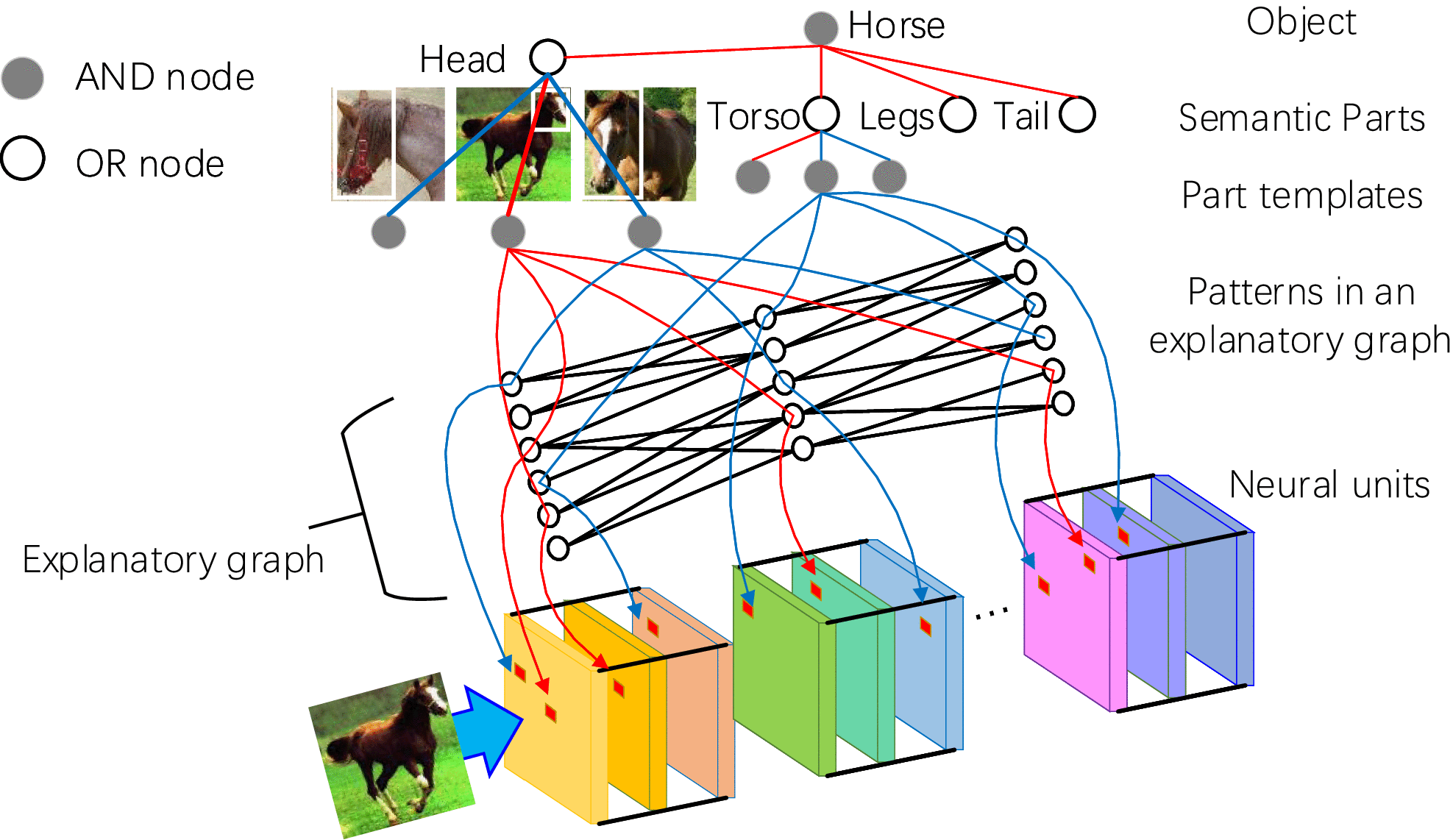 Graphic: Schematic illustration of an And-Or graph for semantic object parts. The AOG encodes a four-layer hierarchy for each semantic part, i.e., the semantic part (OR node), part templates (AND node), latent parts (OR nodes, those from the explanatory graph), and neural activation units (terminal nodes). In the AOG, the OR node of semantic part contains a number of alternative appearance candidates as children. Each OR node of a latent part encodes a list of neural activation units as alternative deformation candidates. Each AND node (e.g., a part template) uses a number of latent parts to describe its compositional regions.