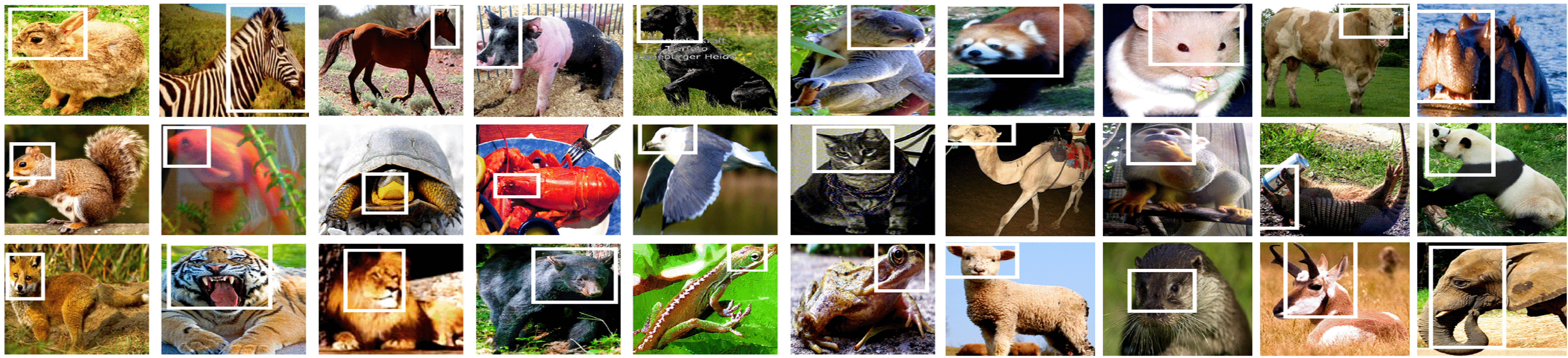 Graphic: Localization results based on AOGs that are learned using three annotations of the head part.