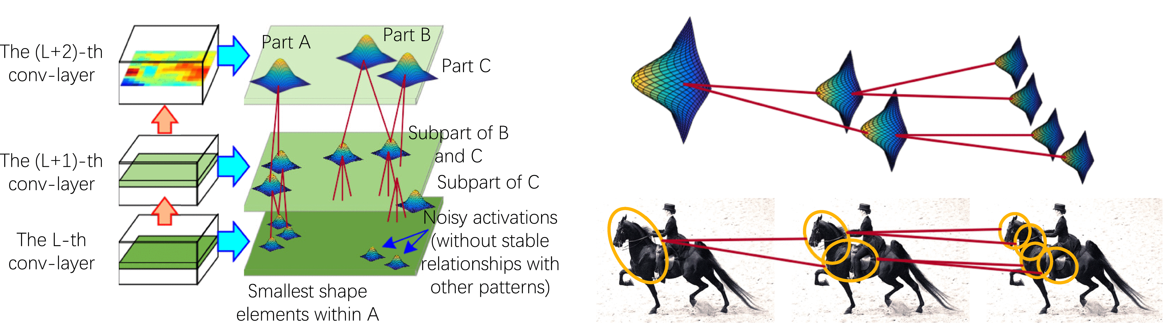 Graphic: Schematic illustration of the explanatory graph. The explanatory graph encodes spatial and co-activation relationships between object parts in the explanatory graph. Nodes in high layers help localize nodes in low layers. From another perspective, we can regard low-layer nodes represent compositional parts of high-layer nodes.