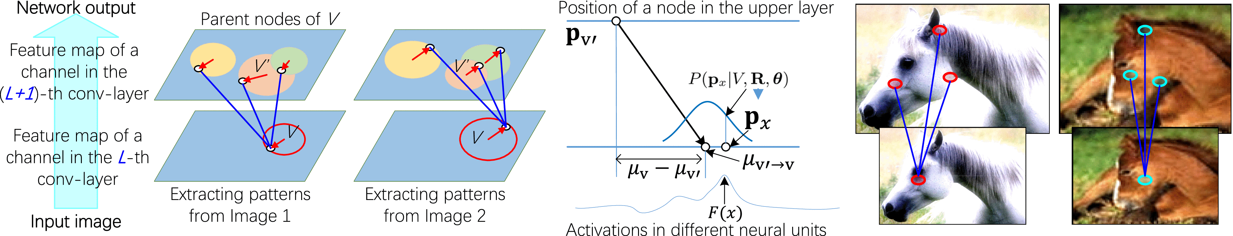 Graphic: Schematic illustration of related nodes $V$V and $V^{\prime }$V'. The related nodes keep similar spatial relationships among different images. Circle centers represent the prior part positions, e.g., $\mu _{V}$μV and $\mu _{V^{\prime }}$μV'. Red arrows denote relative displacements between the inferred positions and prior positions, e.g., ${\mathbf p}_{V}-\mu _{V}$pV-μV. In particular, the middle sub-figure illustrates different variables in a one-dimensional space for simplicity.