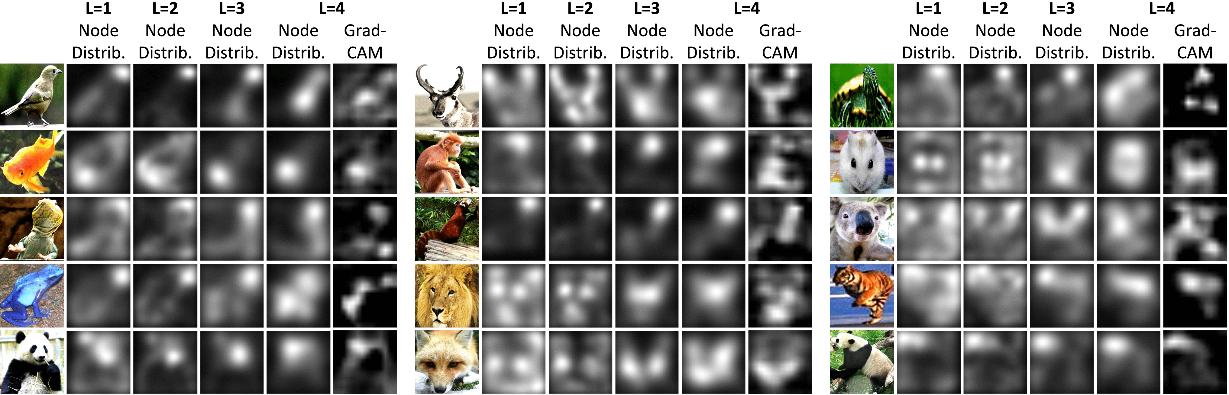 Graphic: Heatmaps of the distribution of object parts. We use a heatmap to visualize the spatial distribution of the top-50 percent object parts in the $L$Lth layer of the explanatory graph with the highest inference scores. We also compare heatmaps with the grad-CAM [27] of the feature map. Unlike the grad-CAM, our heatmaps mainly focus on the foreground of an object and uniformly pay attention to all parts, rather than only focus on most discriminative parts.