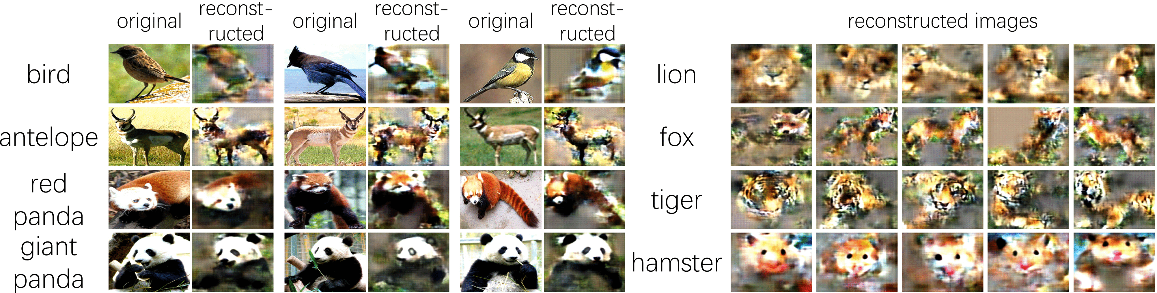 Graphic: Image synthesis based on the activation of nodes on an image. The explanatory graph only encodes major parts encoded in conv-layers with considerable information loss. Synthesis results demonstrate that the nodes are automatically learned to represent foreground appearance, and ignore background noises and trivial details of objects.
