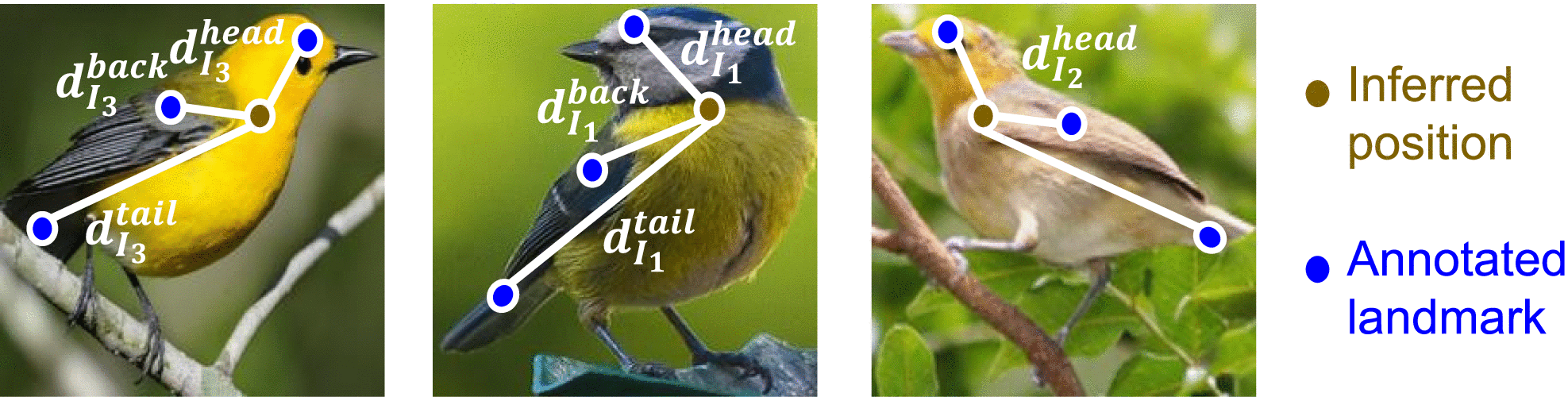 Graphic: Notation for the computation of location instability.