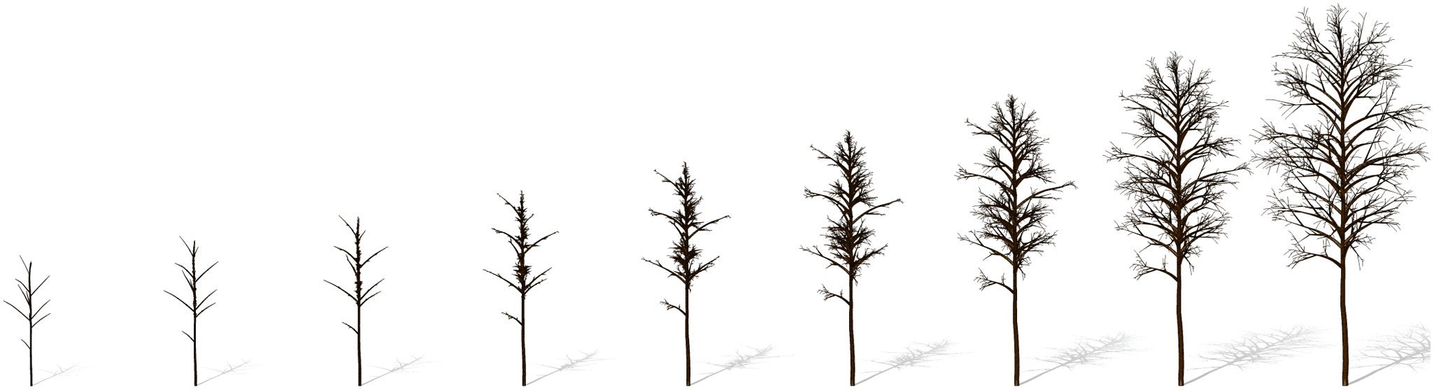 Elastic Shape Analysis of Tree-Like 3D Objects Using